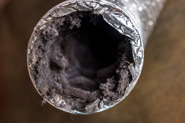 Best Professional Duct Cleaning Services  in Benton, IL