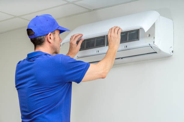 Best Air Duct Mold Removal  in Benton, IL